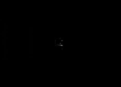 What Lurks Inside free download gameplay screenshot - high quality gaming experience