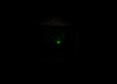 What Lurks Inside free download gameplay screenshot - high quality gaming experience