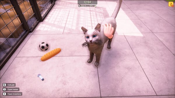Animal Shelter 2 free download gameplay screenshot - high quality gaming experience