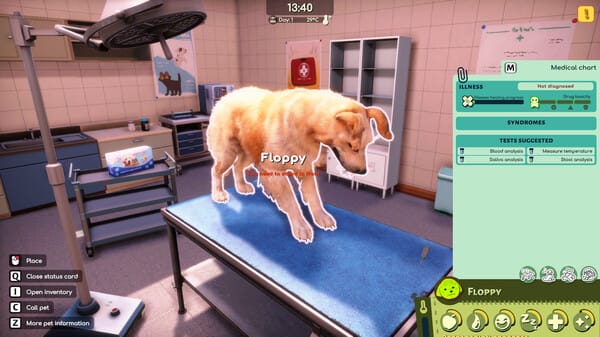 Animal Shelter 2 free download gameplay screenshot - high quality gaming experience