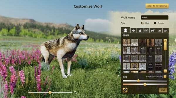 WolfQuest: Anniversary Edition free download gameplay screenshot - high quality gaming experience
