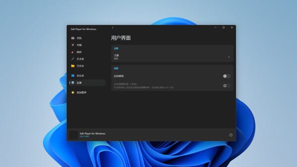 Salt Player for Windows free download gameplay screenshot - high quality gaming experience